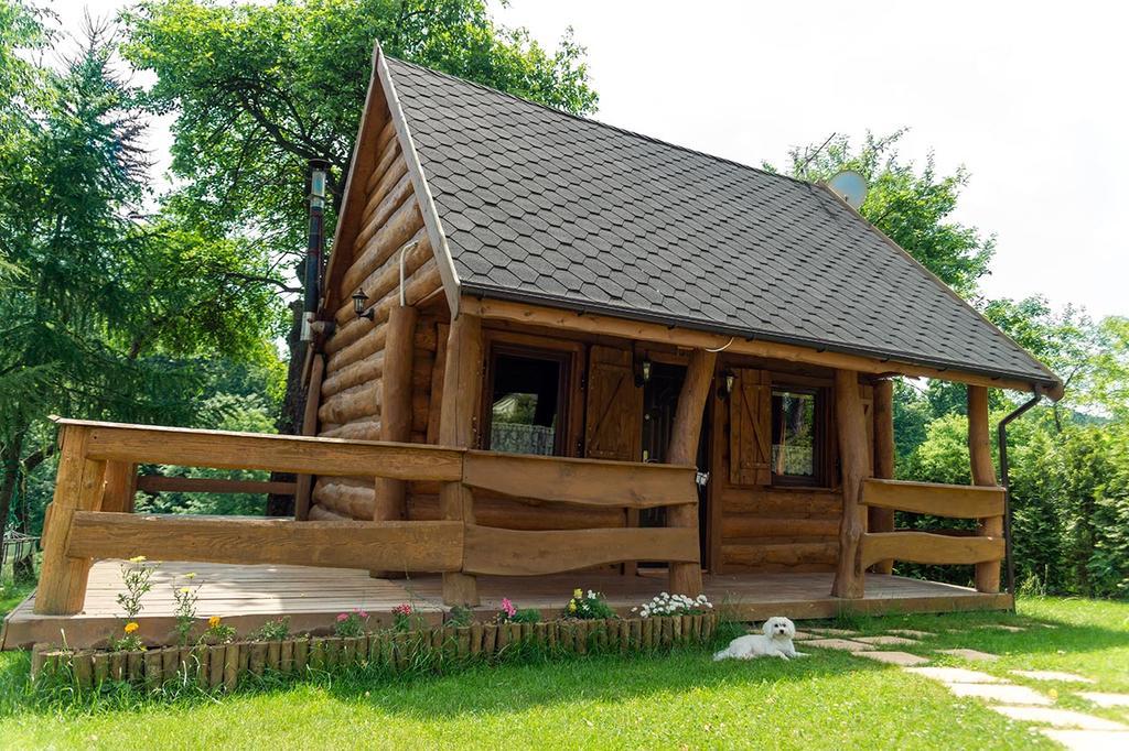 Ropa Agroturystyka Paradisoヴィラ エクステリア 写真