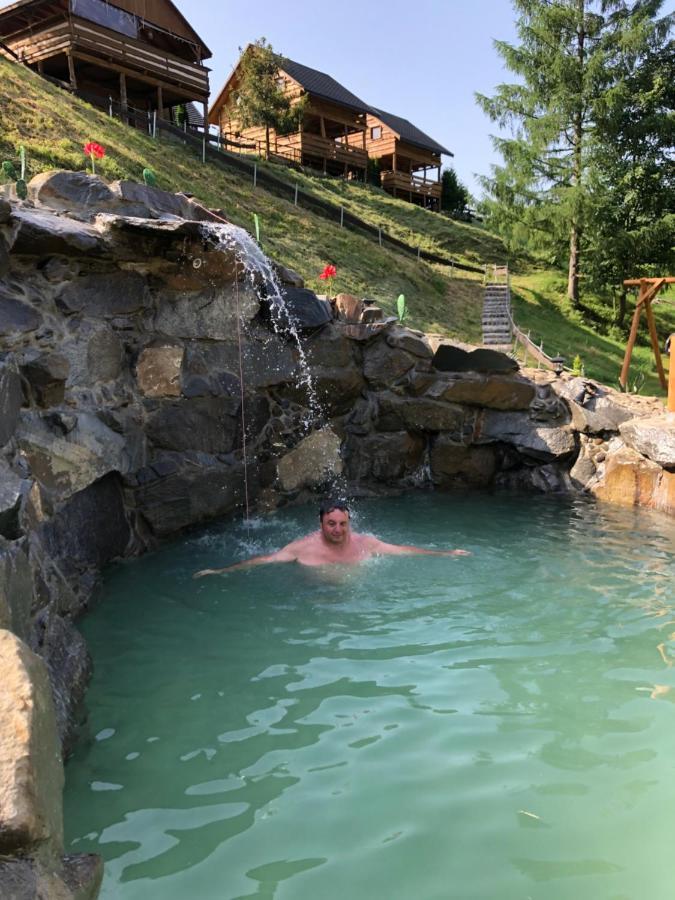 Ropa Agroturystyka Paradisoヴィラ エクステリア 写真